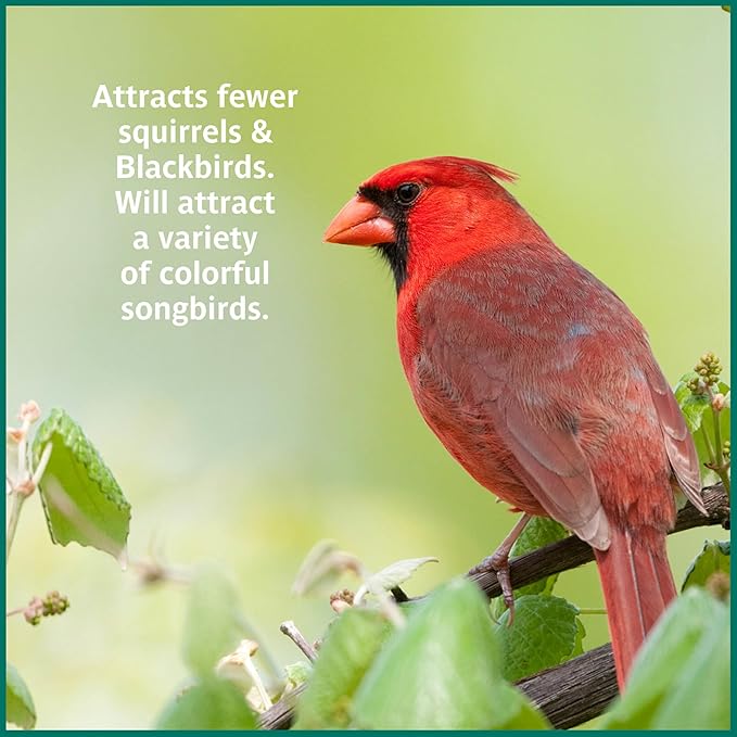 Pennington Select Safflower Seed 15 lb Bag