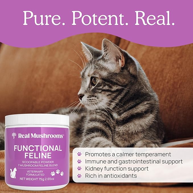 Real Mushrooms Cat Supplement Powder – Organic Mushroom Blend with Antarctic Krill & Ashwagandha – Cat Vitamins for Older Cats or Kittens – 2.65 oz Functional Feline Formula