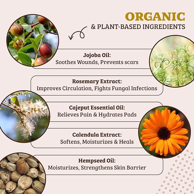 Natural Dog Company Paw Soother Balm & Wax for Dogs 4 oz Tin – Organic Moisturizing Relief for Dry, Cracked Paws, Lick - Safe–Repairs & Heals–Protects Against Extreme Weather – Coconut Oil & Vitamin E