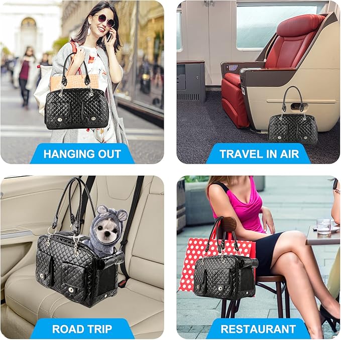 Soft-Sided Pet Travel Carrier Airline Approved for Pet Small Dog and Cat Collapsible, Black Shiny Patent Leather