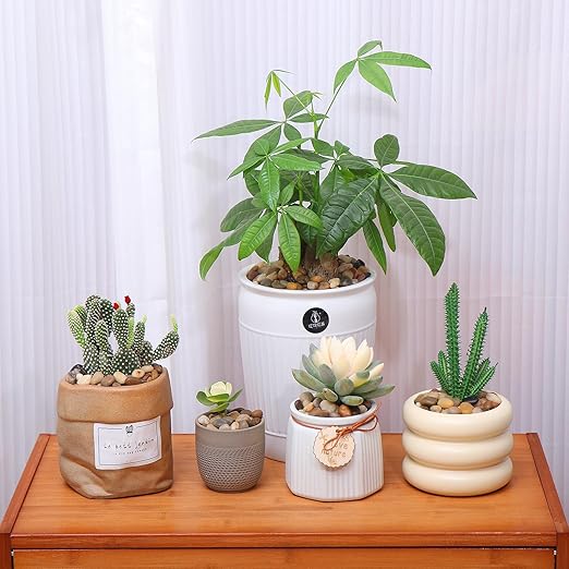 Calofulston 2.2lb Drainage Rocks for Potted Plants, 1/5 Inch Small Pebbles for Plants, Aquarium, Fish Tank, Terrarium, Succulent, Vases, Decorative Pea Gravel, Mixed Color