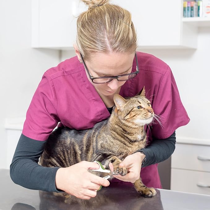 Cat Nail Clipper & Trimmer for Indoor Cats Kitten Puppy Rabbit Small Dog Bird - Professional Pet Grooming Tool for Safe Claw Care - Easy for Home Use for Beginners - Ebook Guide