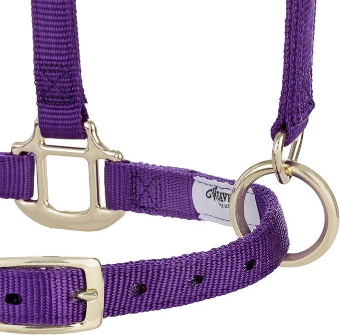 Weaver Equine Breakaway Horse Halter, Supple Leather Crown, Adjustable Chin & Throat Snap Halters for Horses, Equine Tack