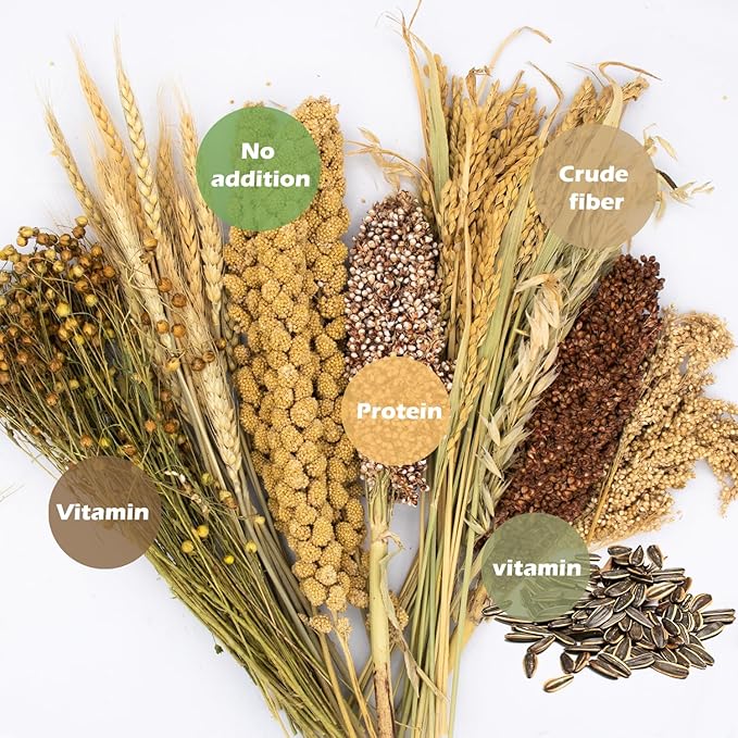 Natural Ear of Grain Flower&Herb Bedding Mate Habitat Decor, Adding Fun Hamster Accessories for Hamsters Gerbils Lemming