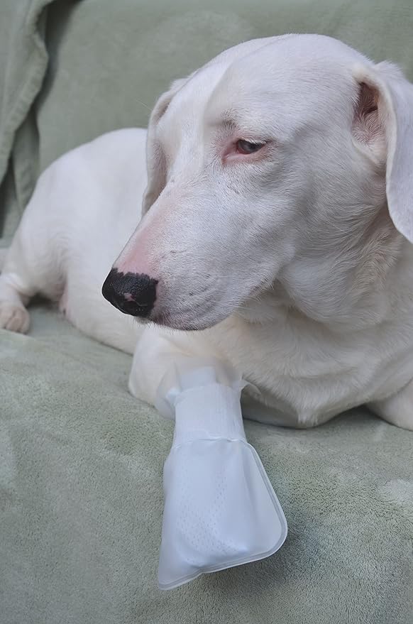 Outdoor Water proof COVER. Slides over MediMitts for dogs paw (which are sold SEPARATELY) Fastens with Medimitt strap. Useful for hot spots, allergies & chronic licking Value pk (X-Large 20pk)