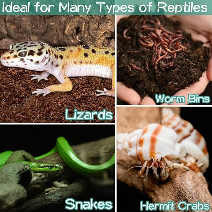 Halatool 2Pack Leopard Gecko Substrate Natural Coconut Fiber Substrate for Reptiles Premium Coco Husk Terrarium Bedding for Tortoise Habitat Snake Lizard Hermit Crab Tarantula Enclosure Worm Bin Frog