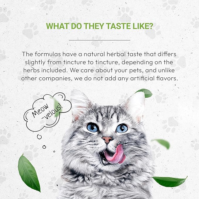 Lion's Blood Pressure | Natural Herbal Dietary Supplement for Cats | Healthy Blood Pressure Support in Cats | Alcohol-Free Extract, Dandelion Root, Lemon Balm, Calendula, Lavender, Fennel 2 oz