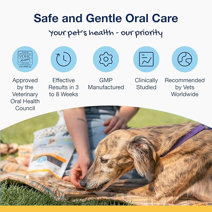 ProDen PlaqueOff System Dental Care Bones for Dogs - Vegetable 17 oz