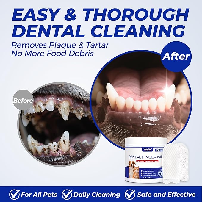 Wellix 100 Count Dog Teeth Cleaning Wipes for Dogs & Cats - Natural Formula Dental Care Finger Wipes Reduces Dog Plaque, Tartar & Bad Breath - No-Rinse Disposable Dog Dental Wipes