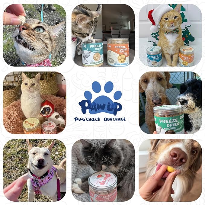 Freeze Dried Raw Dog Food, Chicken & Salmon Recipe Dog Food Topper, High Protein, Rawhide Free, Gluten&Grain Free for Dogs, Cats, 5.3oz