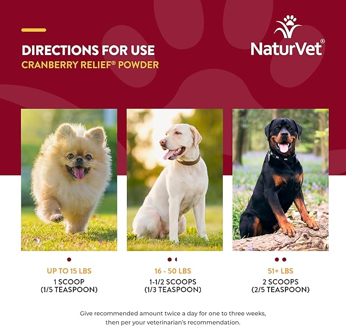 NaturVet – Cranberry Relief Plus Echinacea | Helps Support a Healthy Urinary Tract & Immune System (50g Powder)