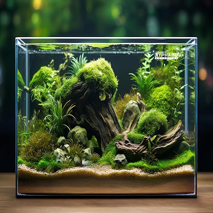 Cube Rimless Aquarium 11 Gallon, Ultra Clear Low Iron Square Fish Tank, L13.8×W13.8×H13.8 Glass Thickness 5mm with EVA Foam Leveling Mat