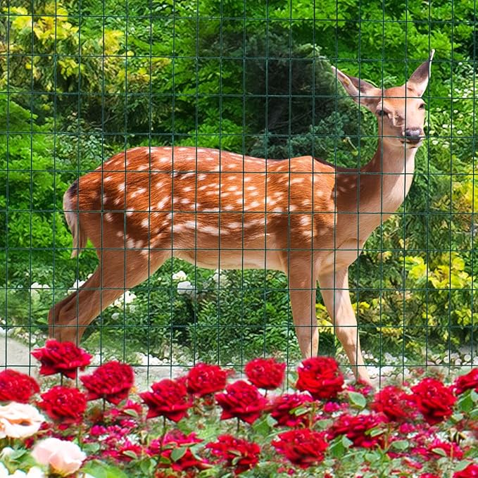 Green PVC Coated Welded Wire Fence 48 Inch x 50 Foot, 2 Inch x 3 Inch 16GA, Garden Border Fencing Roll Vinyl Coating Metal Wire Mesh for Yard Vegetable Plant Protection Poultry Netting