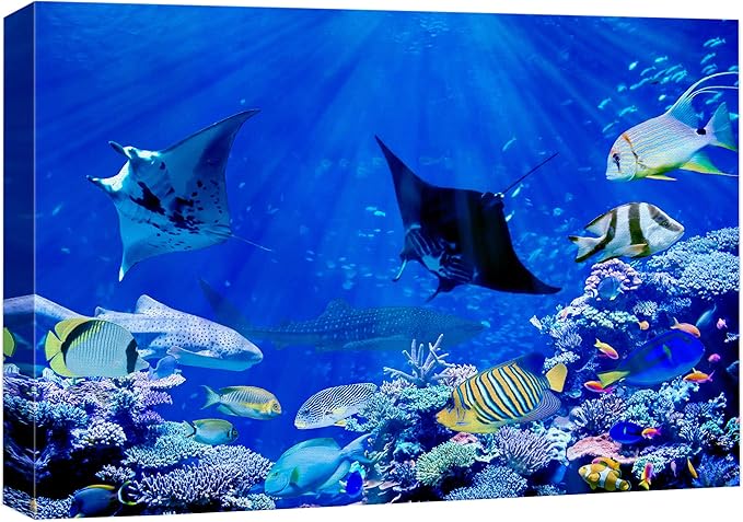 wall26 Canvas Print Wall Art Vibrant Sunlight Ray Ocean Shark Fish Reef Nature Animals Photography Realism Rustic Scenic Landscape Wilderness Earth for Living Room, Bedroom, Office - 24"x36"