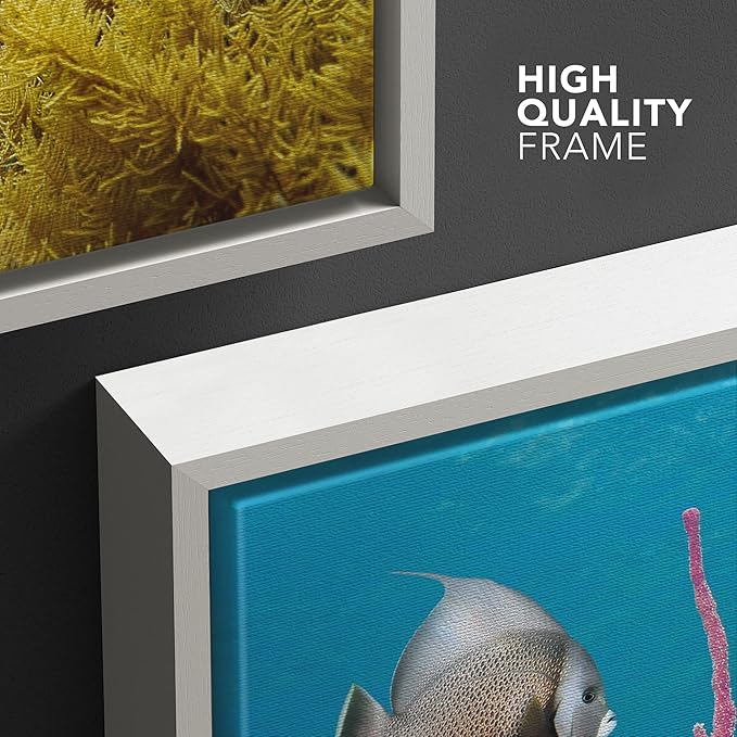 wall26 Framed Canvas Print Wall Art Deep Sea Marine Fish with Coral Reef Nature Ocean Photography Realism Nautical Scenic Relax/Calm Multicolor Ultra for Living Room, Bedroom, Office - 16"x24" White