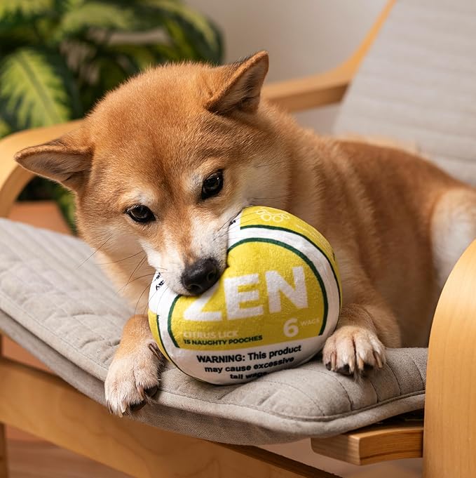 Zen Pupper Deckies Parody Dog Toy - Plush Squeaky and Crinkle Funny Dog Toy (Citrus Lick)