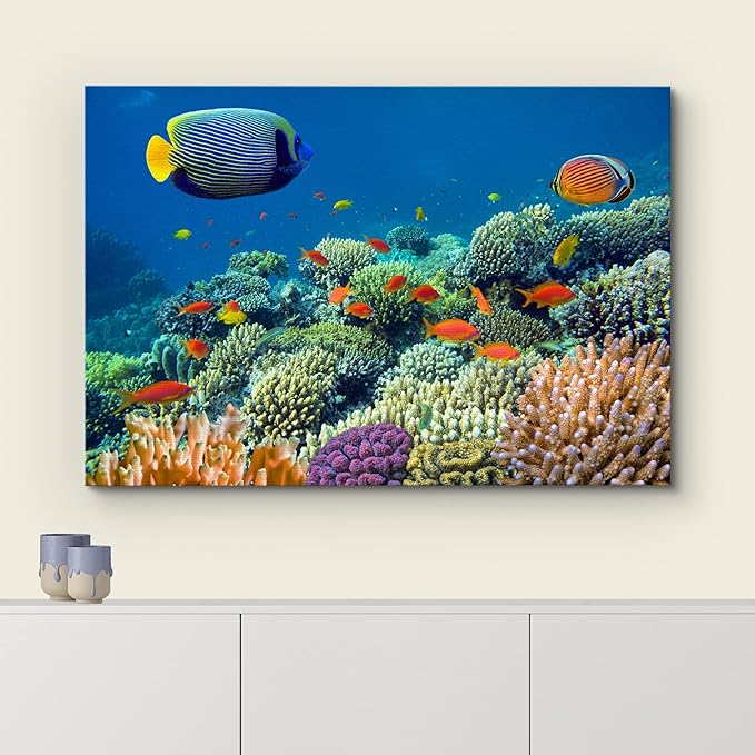 wall26 Canvas Print Wall Art Tropical Underwater Sea Coral Reef Fish Nature Animals Photography Realism Rustic Scenic Landscape Wilderness Earth Colorful for Living Room, Bedroom, Office - 24"x36"
