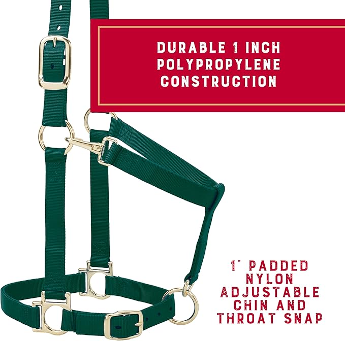 Weaver Leather Nylon Horse Halter, Padded and Adjustable, Chin and Throat Snap Hook Halters for Horses, Brass Plated Halters for Training