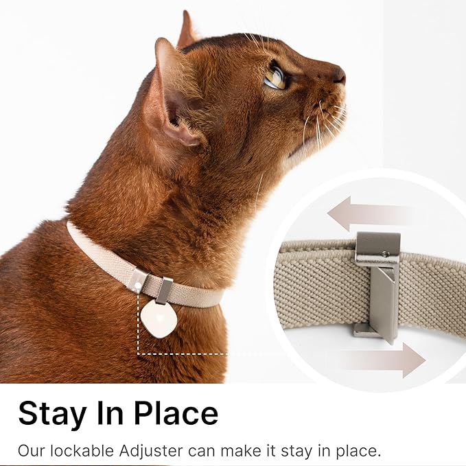 Safety Cat Collar Pro and Tag Set - U.S. IDA Gold Award, Elastic Release Cat Collar Charm Tag, Non Breakaway Cat Collar Adjustable with Charm for Kitten Small Large Cats (Glacier Silver, S)