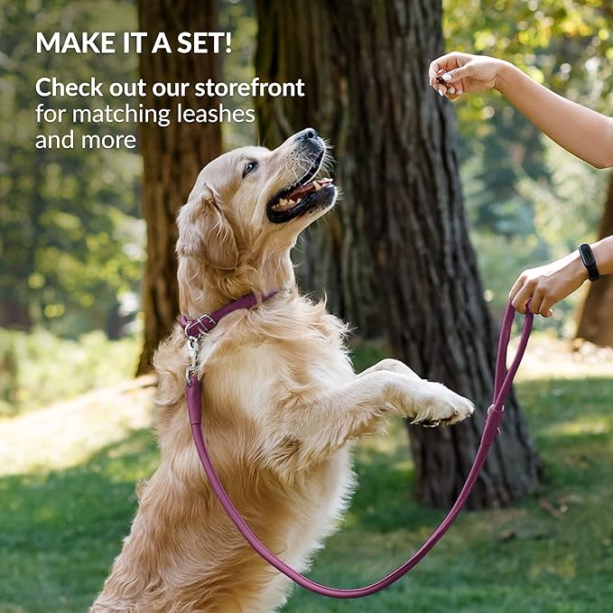 CollarDirect Rolled Leather Dog Collar, Soft Padded Round Puppy Collar, Handmade Genuine Leather Collar Dog Small Large Cat Collars 13 Colors (11-14 Inch, Pink Smooth)