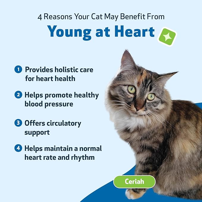 Pet Wellbeing Young at Heart for Cats - Heart Health, Circulatory & Cardiovascular System, Hawthorn, Motherwort, Schisandra - Veterinarian-Formulated Herbal Supplement 2 fl oz (59 ml)