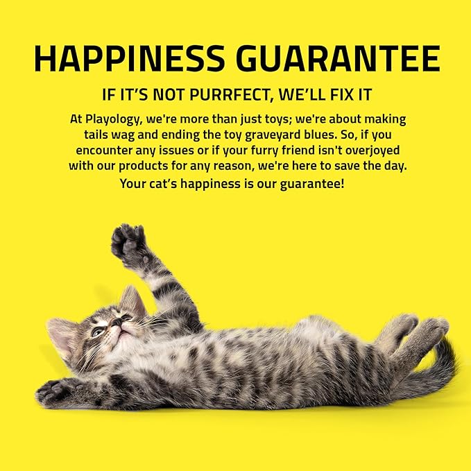 Playology Cat Toy Set | 5-Pack Feather Fish | Interactive Feather Toys for Cats | Stimulating Playtime Fun