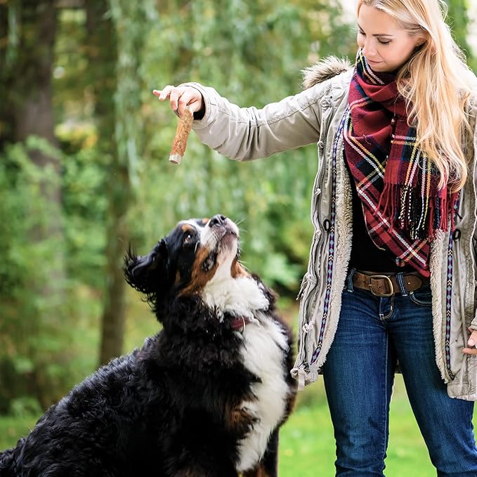ASMPET Dog Treats, Chicken Wrapped Rawhide Sticks Filled with Sweet Potato for Small Medium Large Dogs（6pcs）