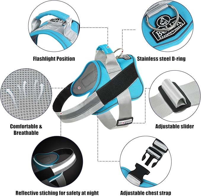 Bolux Dog Harness, No-Pull Reflective Dog Vest, Breathable Adjustable Pet Harness with Handle for Outdoor Walking - No More Pulling, Tugging or Choking (OceanicBlue, Small (Pack of 1))