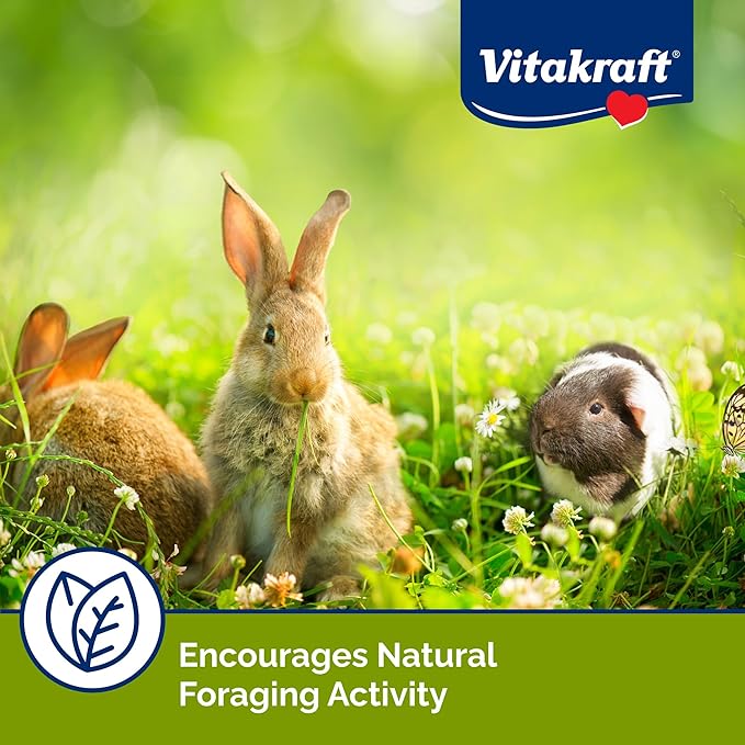 Vitakraft Berry Pie and Harvest Pie Small Animal Treat 8 Pack