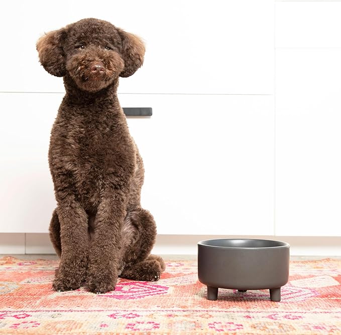 Waggo Uplift Ceramic Dog Bowl for Small Medium and Large Breeds - Heavyweight and Durable Pet Food and Water Dish Crock, Dishwasher Safe, Modern, Elevated Feeder (Olive, Small)