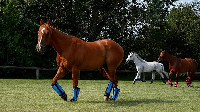 Warrior Fly Boots for Horses - Breathable Mesh Horse Boots for Fly Protection & Leg Comfort - Set of 4 (Knight Warrior, Neon Orange)