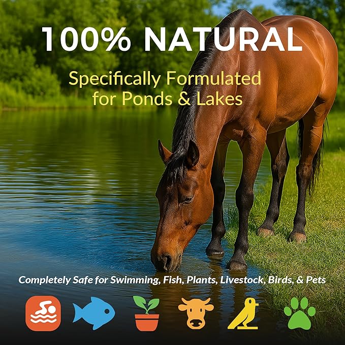 Muck Clear - 15LB Beneficial Bacteria for Ponds & Lake, Boost Enzymes, Sludge Odor Away, Outdoor Fish Pond Water Clarifier, Safe for Aquatic Life, Treats Up to 90,000 Sq Ft