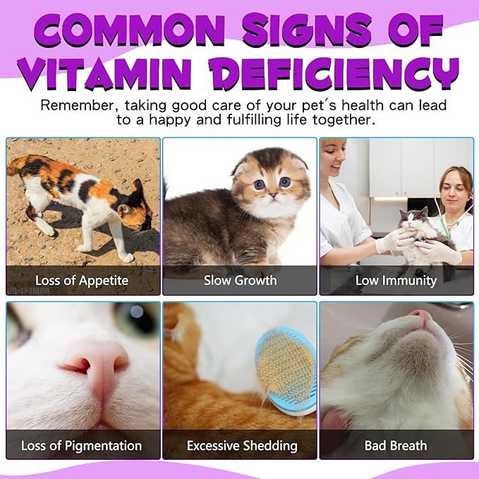 15-in-1 Multivitamin Drops for Cats - Immune Support, Skin & Coat Health, Digestion, Joint Care - with Vitamins A, B, C, D, E - Liquid Supplement for All Life Stages, 2 fl.oz/60ml, 2 Pack