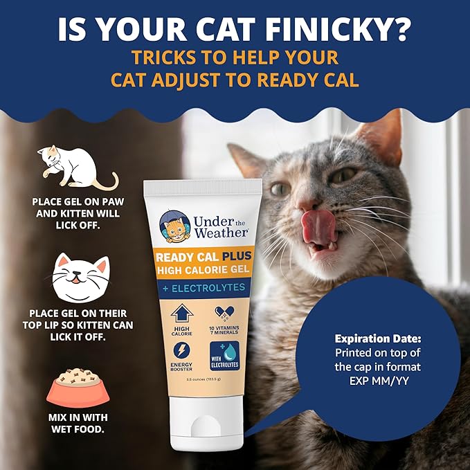 Under the Weather Pet Electrolytes Ready Cal Plus Gel for Cats | Vet-Formulated High-Calorie Supplement for Cats & Kittens | Promotes Weight Gain & Boosts Energy for Sick Felines | 3.5 Oz Tube Pack