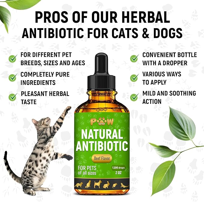 Antibiotics for Dogs | Antibiotics for Cats | Herbal Supplement for Digestion, Breathing, Urination | for Infections, Cough, Allergies | Beef Flavor & Cranberry | for All Pet Breeds | 2 Oz