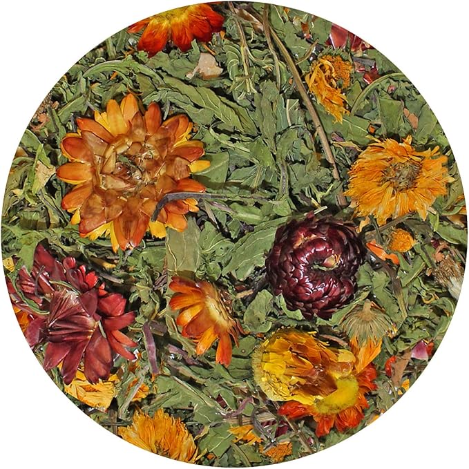 Pasture Plus+ Dandelion Delicacy - Healthy Natural High-Fiber Dried Flower Treat - Squirrels, Guinea Pigs, Rabbits, Chinchillas, Prairie Dogs, Degus, Hamsters, Gerbils & Other Small Pets