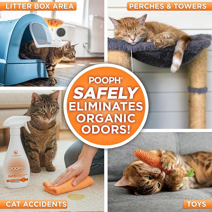 POOPH Kitty Spray - Odor Eliminator, 32oz - Dismantles Odors on a Molecular Basis, Cats, Freshener, Eliminator, Urine, Poop, Pee, Deodorizer, Fresh, Clean, Furniture, Potty, Safe - 2 Pack