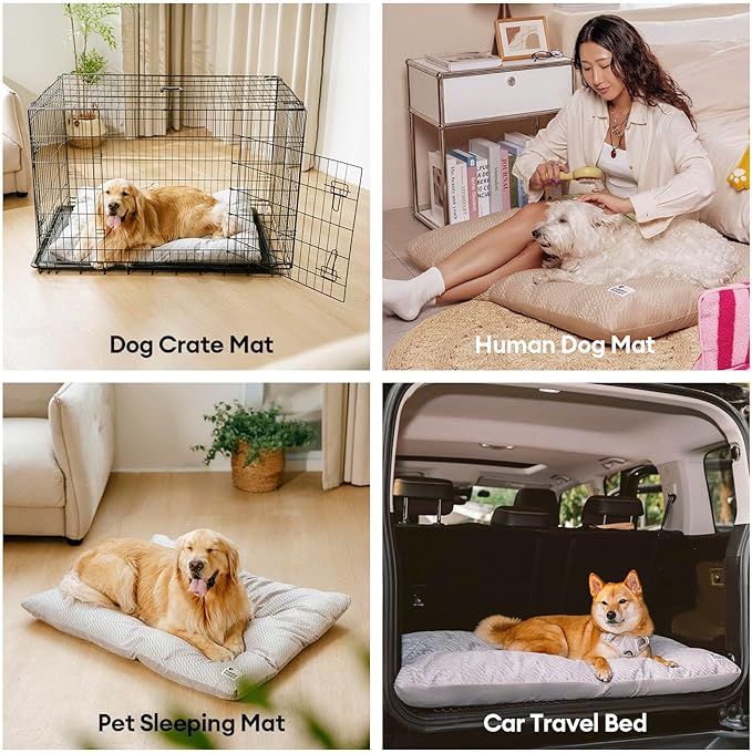 FUNNY FUZZY Washable Dog Bed,Reversible Plush Dog Crate Mat, Soft Fluffy Kennel Pad,Pet Sleeping Mattress for Jumbo,X-Large Sized Dogs Breeds,2XL,48"× 31",Grey