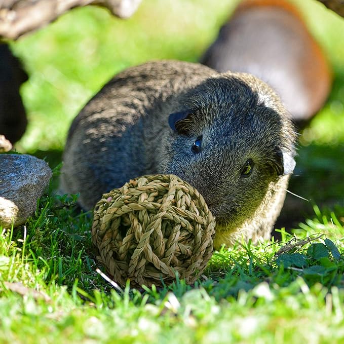 10 Pcs Small Animals Play Balls Rolling Activity Chew Toys Gnawing Treats for Rabbits Guinea Pigs Chinchilla Bunny Natural Balls, Pet Cage Entertainment Accessories(10Pcs)