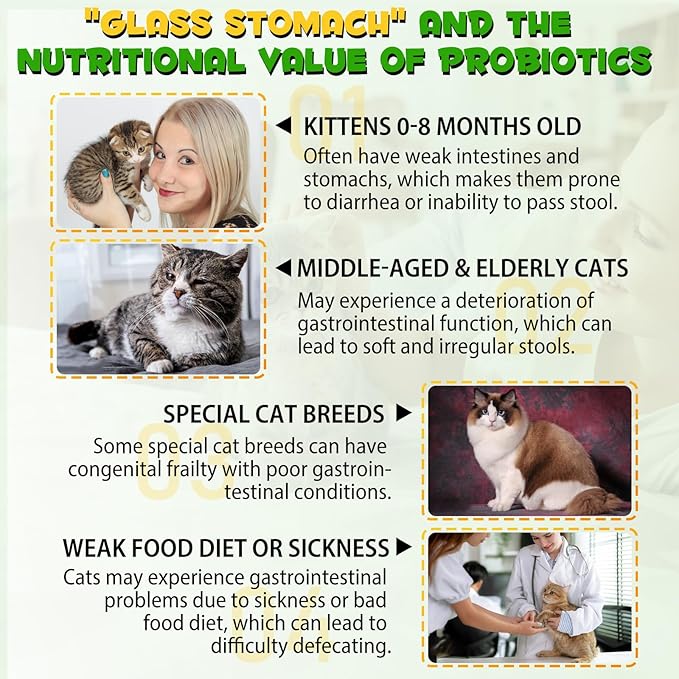 Cat Constipation Relief, Liquid Drops Supports Laxative Relief, Cat Herbal Supplements, Stool Softener Laxative Constipation Relief, Chicken Flavour- 60ml / 2 fl.oz