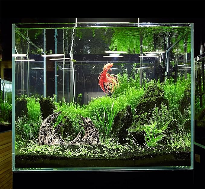 Novelsite Fish Tank Decor- Jagged Canyon Rock Formation ，Made of Solid Sandstone，Suitable for a Variety of Fish Tank Scenes, DIY Planting Moss, Safe and Non-Toxic