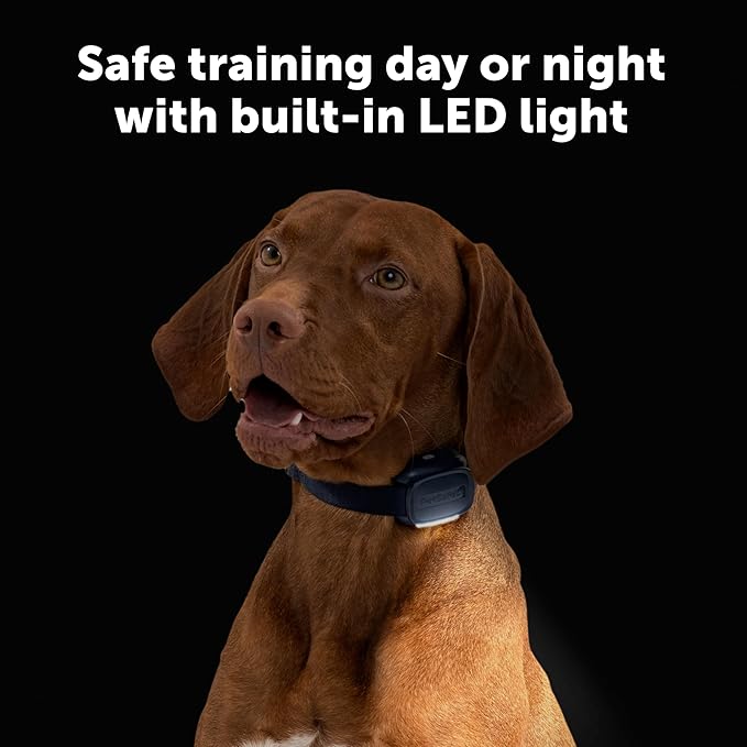 PetSafe Core Dog Trainer with Remote – Waterproof Training Collar – 1000 Foot Range – Tone, Vibration and 15 Levels of Static