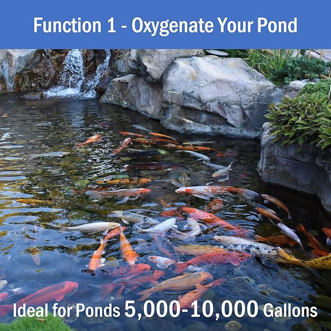 AquaMiracle All-in-One Koi Pond Aerator for Outdoor Ponds, Pond Air Pump Pond Aeration System with Self-Sinking Airline Flow Control Rubber Air Diffuser