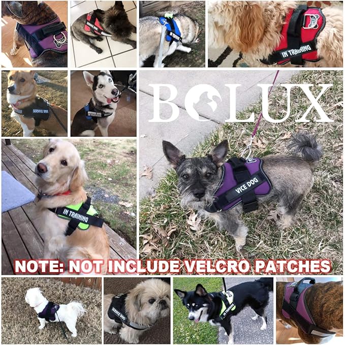 Bolux Dog Harness, No-Pull Reflective Dog Vest, Breathable Adjustable Pet Harness with Handle for Outdoor Walking - No More Pulling, Tugging or Choking (Dark Green, XS)