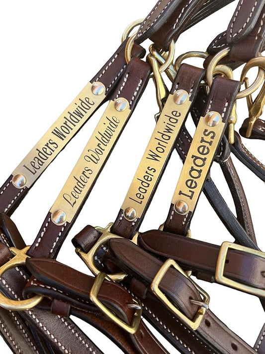 Leaders 3/4" Leather Halter for Horses with Customized Engraved Name Plate Brown Leather with Solid Brass Hardware
