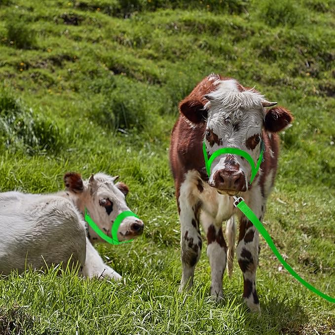 Hillban Cow Halter Cattle Halters Adjustable Calf Halter with Leading Rope for Miniature Horse Donkey Goat Foal Nylon Cattle Training Supplies