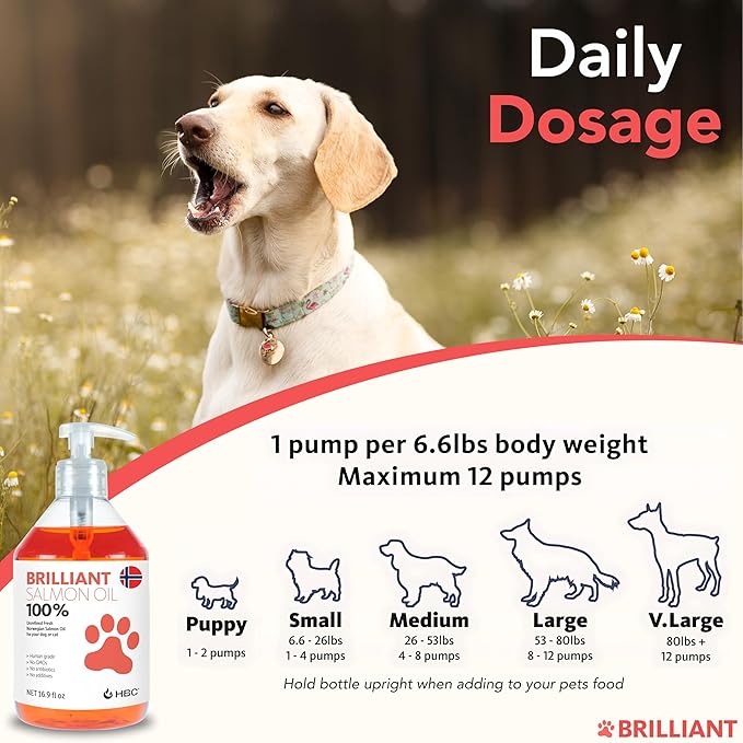 Salmon Oil for Dogs - Healthy Skin & Coat, All Natural Norwegian Fish Oil Food Supplement for Pets, Omega 3 EPA DHA, Ideal for Shedding, Allergy, Itching, Dry Skin, Joint & Bone Health - 16.9 Oz