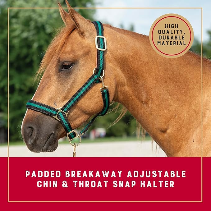 Weaver Equine Breakaway Horse Halter, Comfort Foam Padding, Adjustable Chin & Throat Snap Halters for Horses, Equine Tack,Average Size, Green