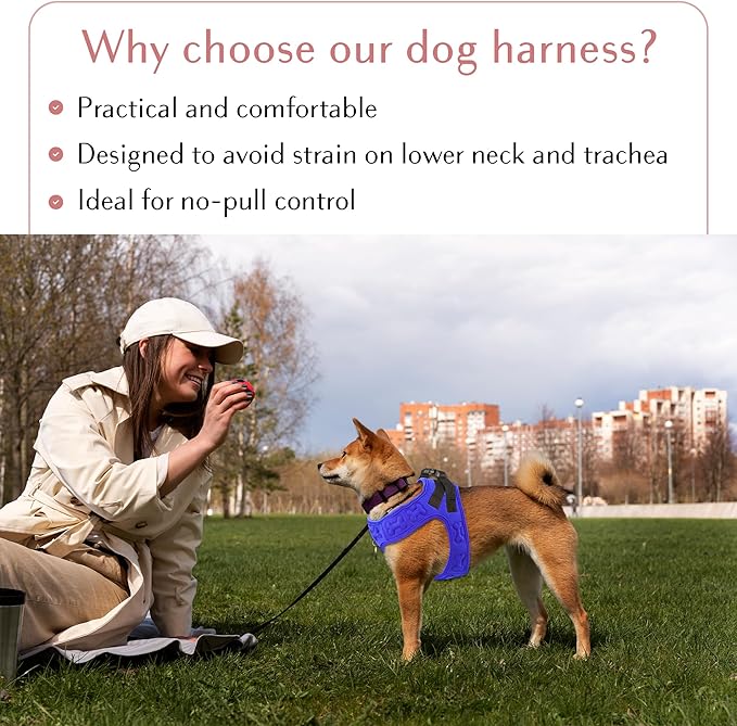 Comfort Fit No Pull Dog Harness – Adjustable Step-in Vest for Small, Medium & Large Dogs, Soft Padded with Leash Clips, Reflective Straps & Handle