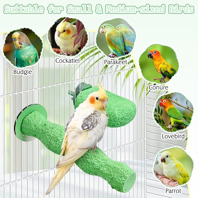 PINVNBY 5 Pack Bird Perch Resin Bird Beak Grinding Stone Parrot Cage Perch Stand Platform Foot Claws Trimmer Chew Toy Bird Cage Accessories for Budgie Cockatiel Conure Lovebird Finch (Green)